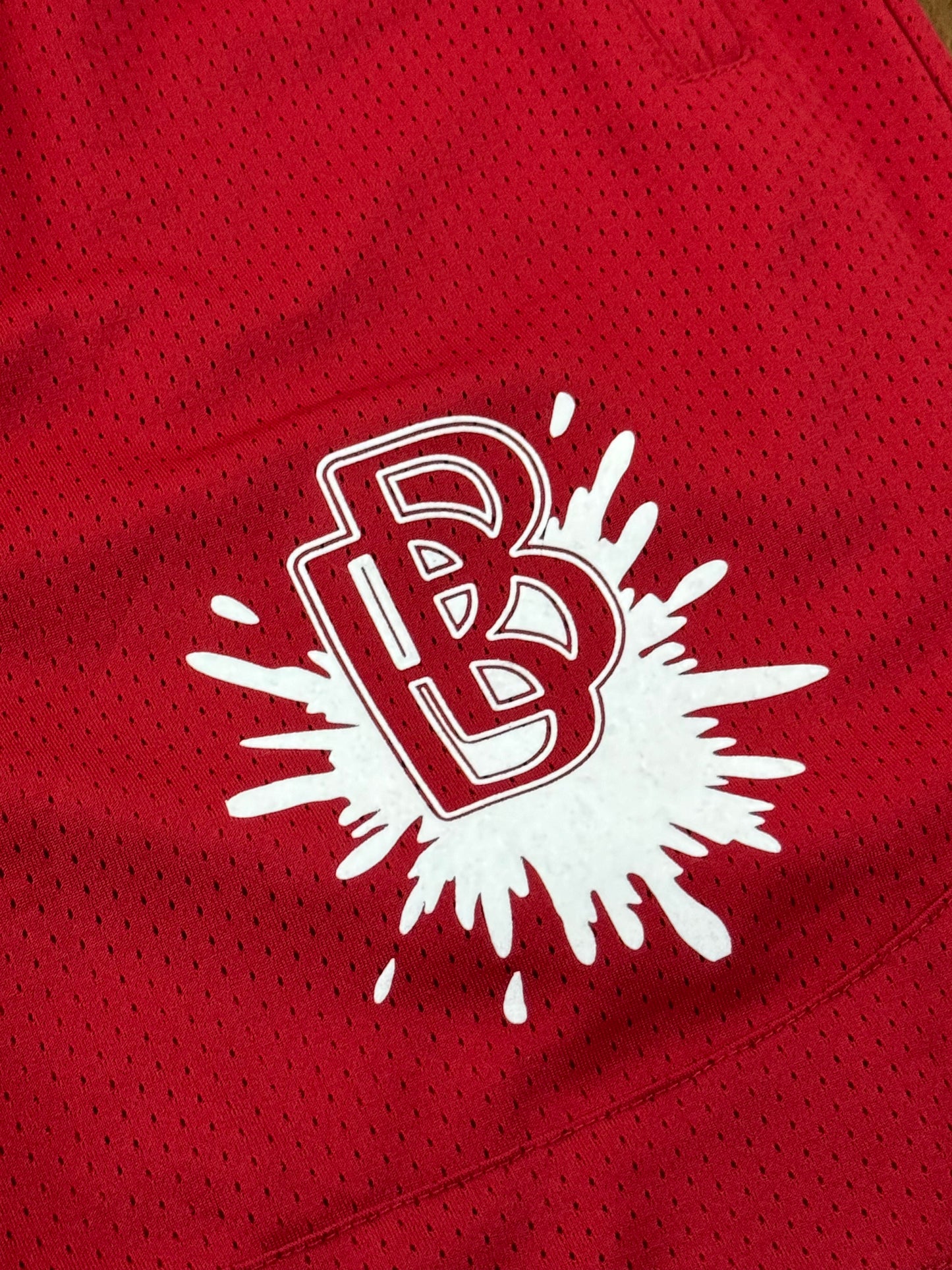 Bird Block Collection Red Mesh Shorts PALISADES