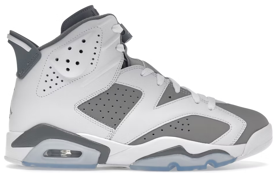 Jordan 6 Retro Cool Grey PALISADES