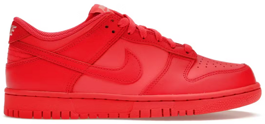 Nike Dunk Low Track Red (GS) AMERICAN DREAM