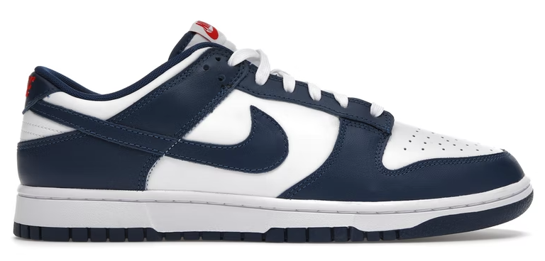 Nike Dunk Low Valerian Blue PALISADES