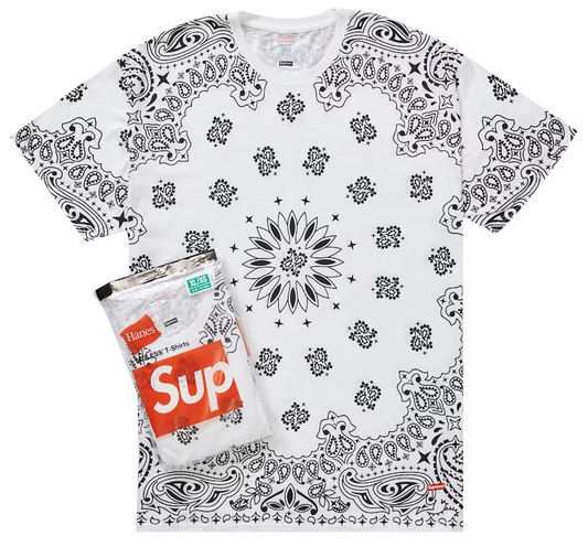 Supreme Hanes Bandana Tagless Tees (2 Pack) White PALISADES